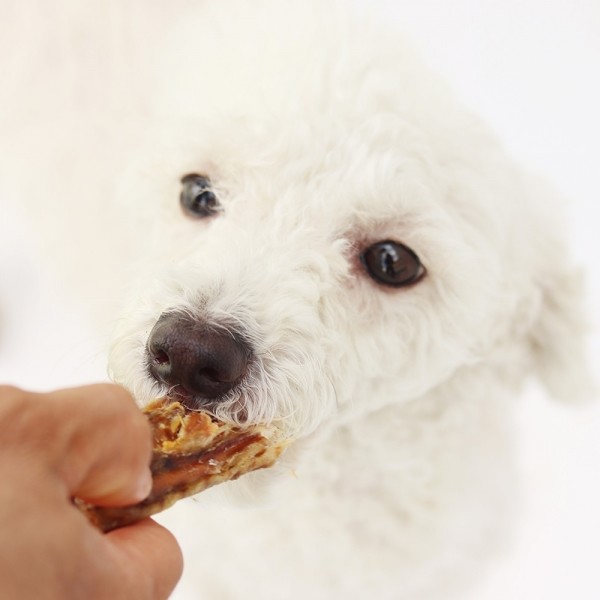 페오펫몰,[오래오래프로젝트] 깨끗한육포 오리날개 12p (210g)