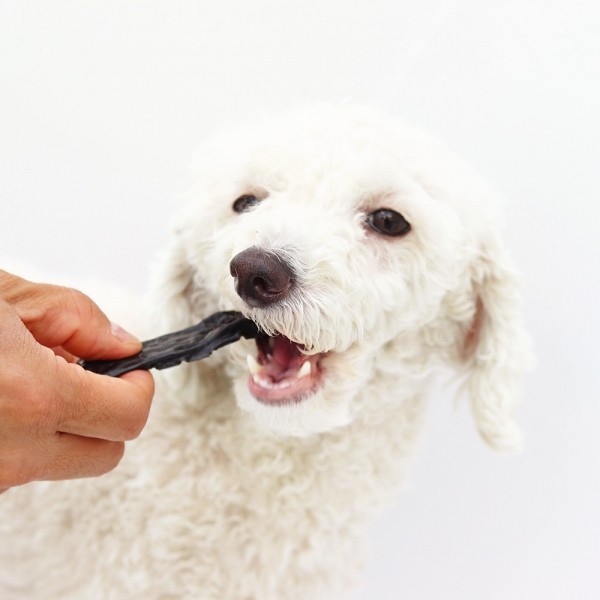 페오펫몰,[오래오래프로젝트] 깨끗한육포 한우소간 (195g)