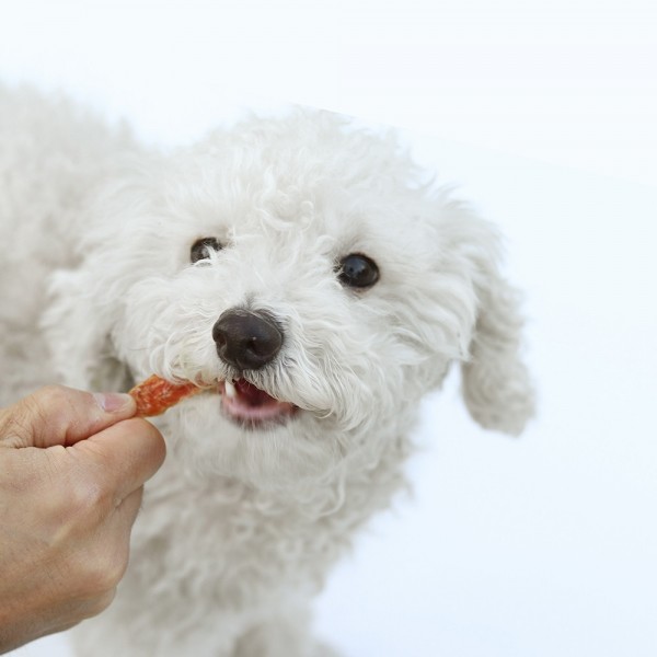 페오펫몰,[오래오래프로젝트] 깨끗한육포 쫄깃 닭모래집 (120g)