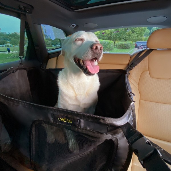 페오펫몰,라이칸 강아지카시트 M사이즈 대형견카시트 털날림방지 방수 올커버 풀커버 반려견 반려동물