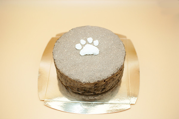 페오펫몰,봉봉맘 강아지생일파티세트(케익+미역국) 캥거루고구마케익/블루베리치즈케익 2종 선택, 황태미역국/소고기미역국 2종 선택 강아지생일파티세트 강아지생일