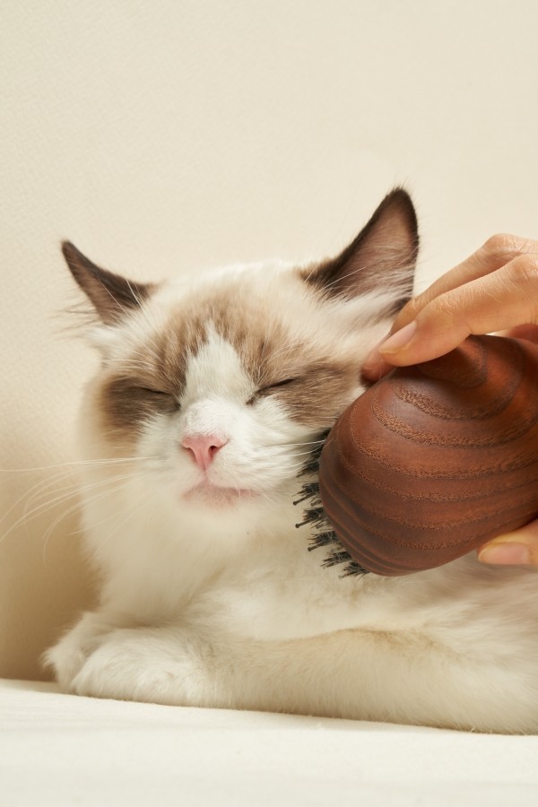 페오펫몰,펫츠엔 펫 버디브러쉬 강아지빗 고양이빗 반려견 사랑빗