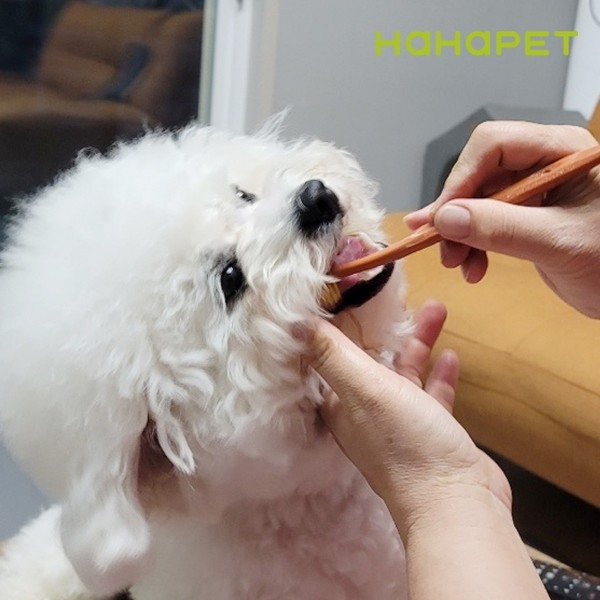 페오펫몰,하하펫 반려동물 듀얼모 강아지칫솔 2+2