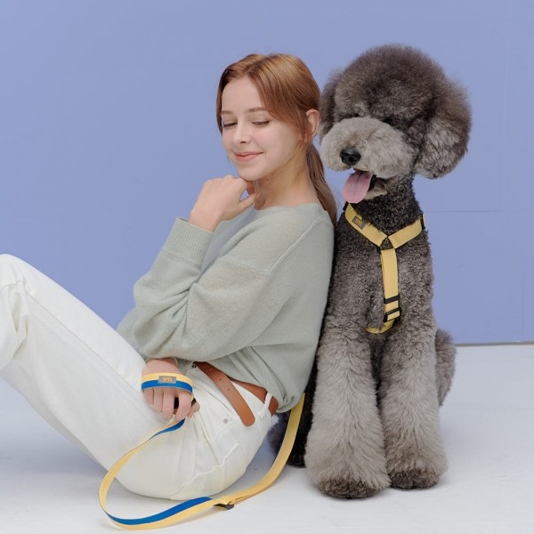페오펫몰,[SPEL] 스펠 항공 TY하네스 단품 NAVY