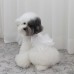 썸네일(스크롤)