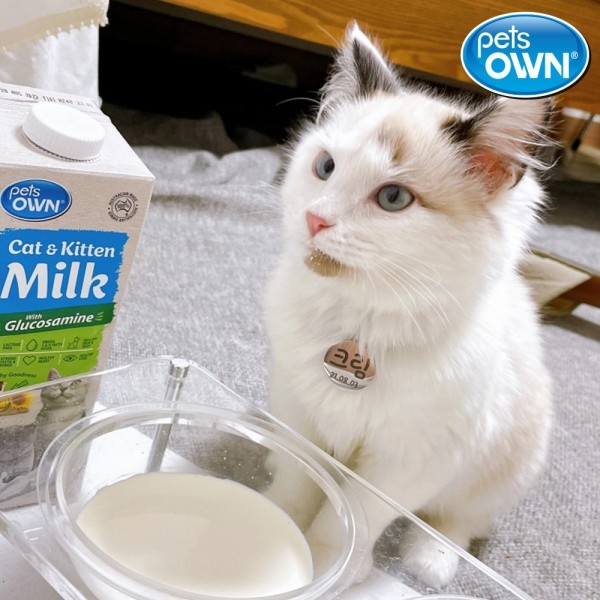 페오펫몰,[감사특가] 펫츠온 호주 프리미엄 펫밀크 1Lx8팩 캣앤키튼 글루코사민 고양이 멸균우유/7차신규입고