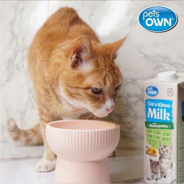 페오펫몰,[감사특가] 펫츠온 호주 프리미엄 펫밀크 1Lx8팩 캣앤키튼 글루코사민 고양이 멸균우유/7차신규입고