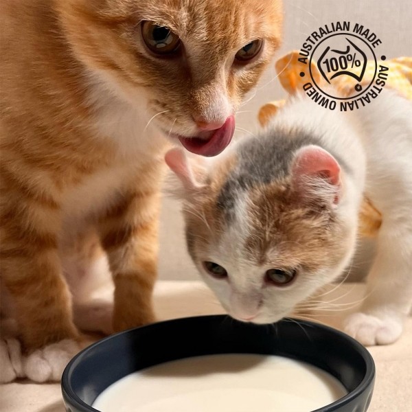 페오펫몰,[감사특가] 펫츠온 호주 프리미엄 펫밀크 1Lx8팩 캣앤키튼 글루코사민 고양이 멸균우유/7차신규입고