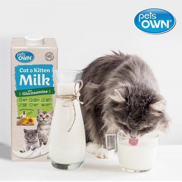 페오펫몰,[감사특가] 펫츠온 호주 프리미엄 펫밀크 1Lx8팩 캣앤키튼 글루코사민 고양이 멸균우유/7차신규입고