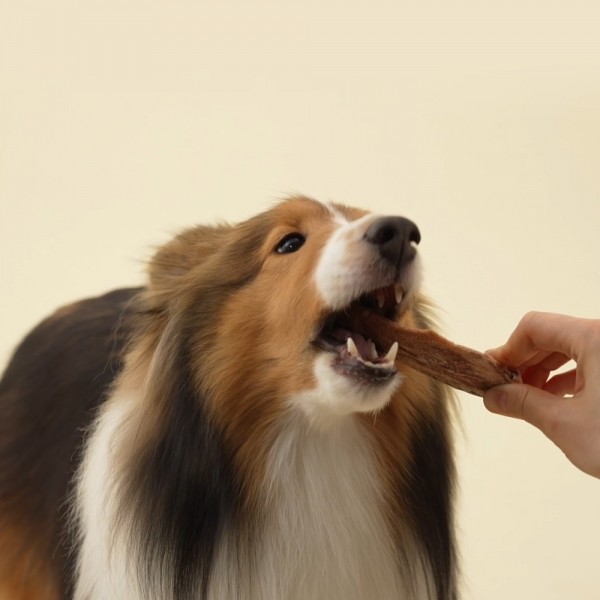 페오펫몰,[바야][꽃길특가] 와일드트릿 오래먹는 동결건조 오리안심 80g