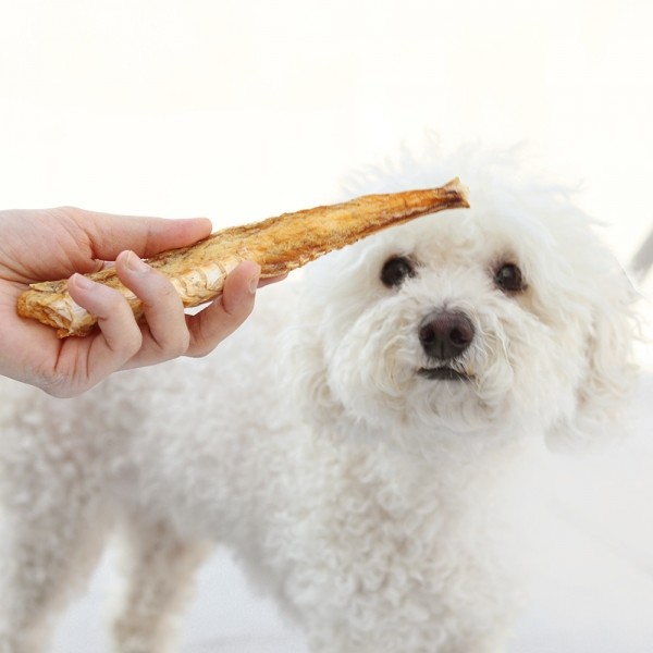 페오펫몰,[오래오래프로젝트] 깨끗한육포 뼈째먹는 통아귀 (240g)