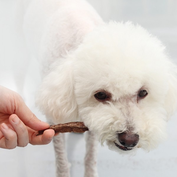 페오펫몰,[오래오래프로젝트] 깨끗한육포 저칼로리 보양간식 한우허파 (175g)