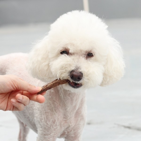 페오펫몰,[오래오래프로젝트] 깨끗한육포 저칼로리 보양간식 한우허파 (175g)