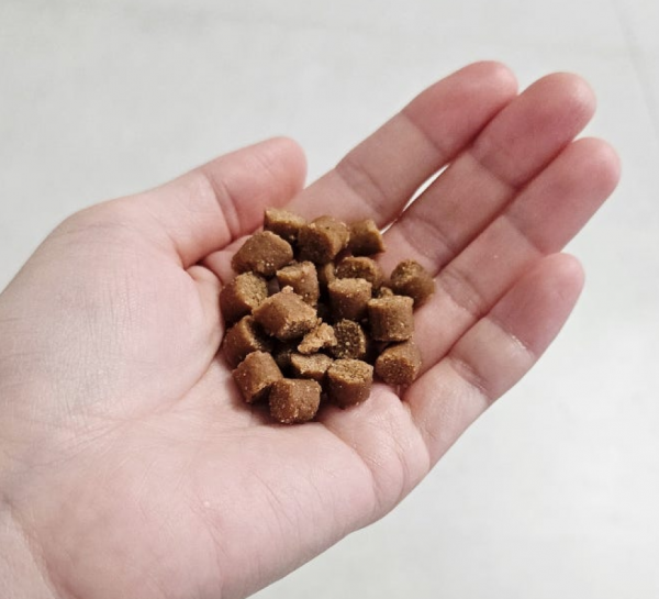 페오펫몰,[스페푸] 생육부심 소프트사료 1kg 소간+황태 x 2