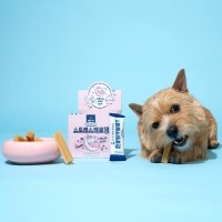 너티 간식 하루루틴 스트레스 껌