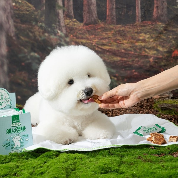 페오펫몰,너티 간식 하루루틴 영양제 에너젯바