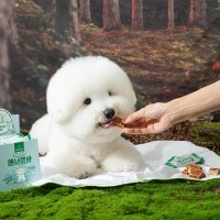 너티 간식 하루루틴 영양제 에너젯바