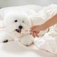 너티 간식 하루루틴 츄르 굿모닝퓨레