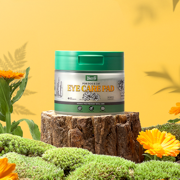 페오펫몰,[감사특가]허레이 프로 아이+이어케어 패드SET