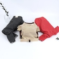 [멤버십 비밀가격][코코아허니] 데일리베어올인원 [최저가]