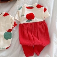 [멤버십 비밀가격][코코아허니] 사과올인원 [최저가]