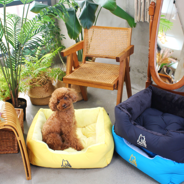 페오펫몰,[스윗테일] 핸드메이드 강아지하우스 사각방석 (라지) [반려동물]