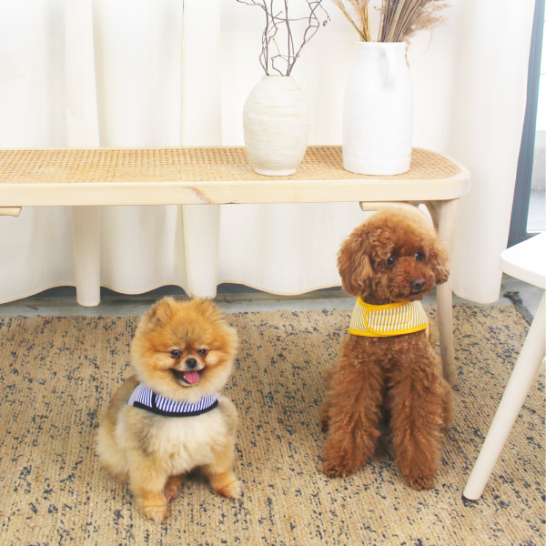 페오펫몰,[스윗테일] 핸드메이드 강아지 스트라이프 하네스 L[반려동물]