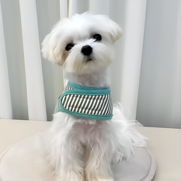 [스윗테일] 핸드메이드 강아지 스트라이프 하네스 XL [반려동물]