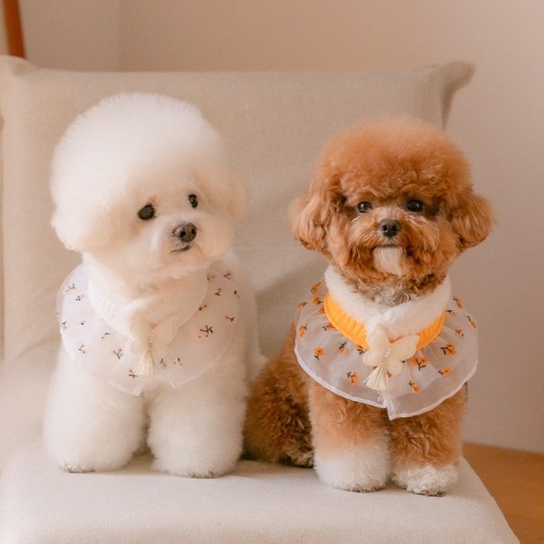 스캠퍼 한복 플라워 누빔 케이프 2color