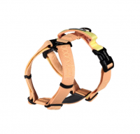 [분독] 플레이하네스 피치 M [최저가]