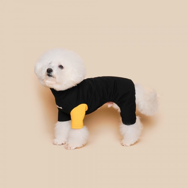 페오펫몰,컬러 포인트 올인원 블랙