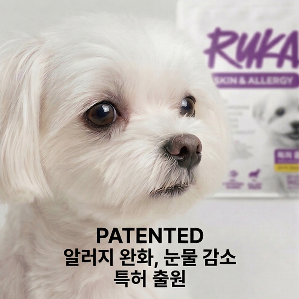 페오펫몰,[추가 할인] 루카 스킨 앤 알러지 강아지 가수분해 연어 눈물 소프트 사료 1kg, 3개