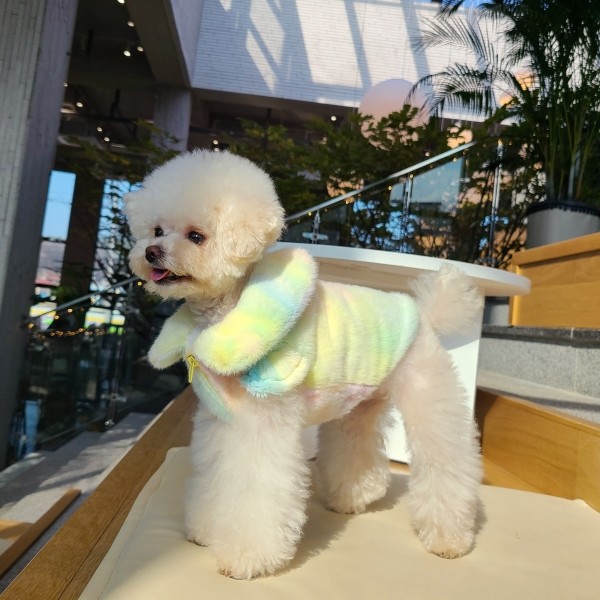 페오펫몰,키덕키덕 | 자체제작 강아지 겨울옷 따뜻한 아이스크림 퍼 집업 - 코튼캔디