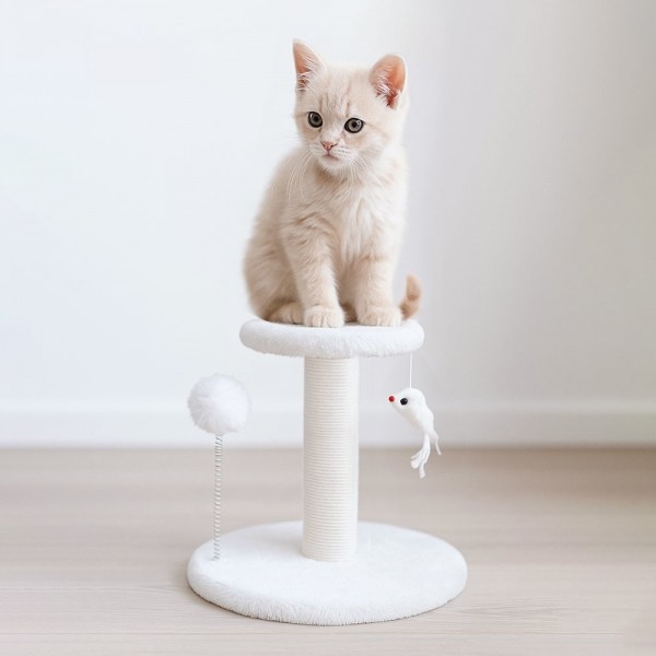 페오펫몰,크레용펫 미니 베이비 스크래쳐 캣타워 (2color)