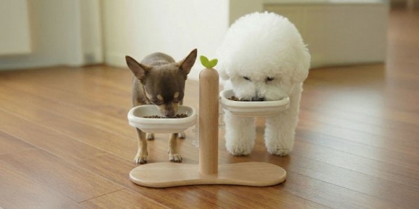 페오펫몰,크레용펫 프리미엄 맞춤핏 듀얼볼 높이조절 식기