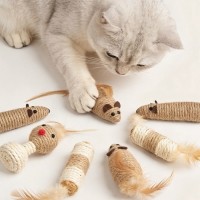 크레용펫 네추럴 사이잘 로프 장난감 쥐 공 5종 모음