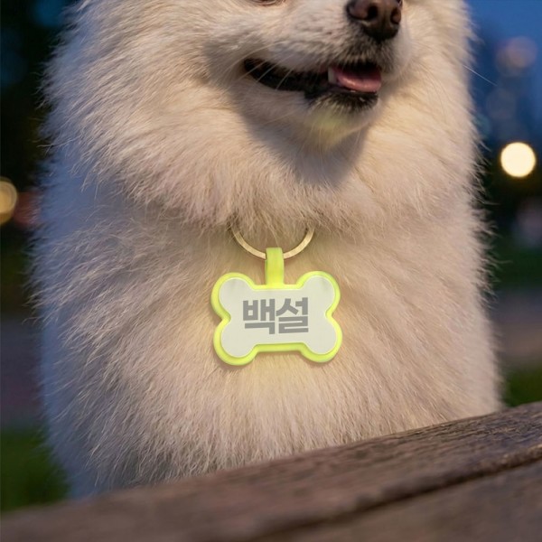페오펫몰,크레용펫 야광 뼈다귀 레이저각인 인식표