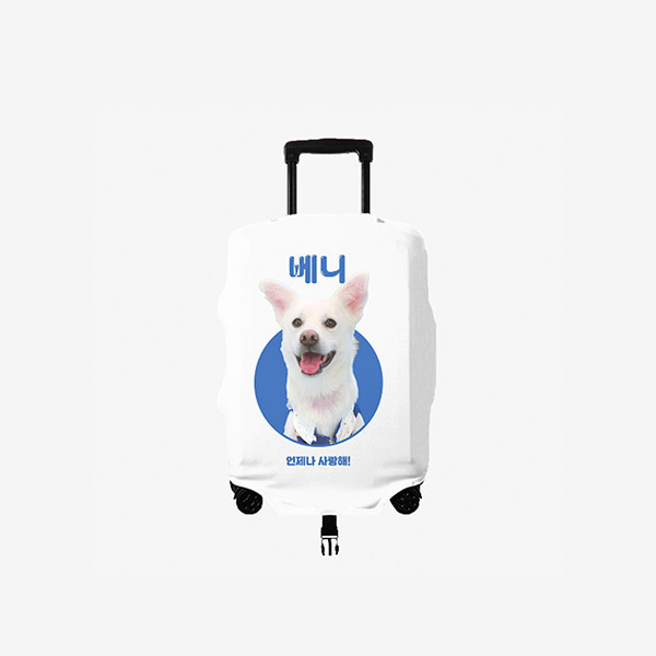 페오펫몰,[엔젤드로잉] 반려동물 강아지 고양이 사진 그림 커스텀 주문제작 캐리어 커버