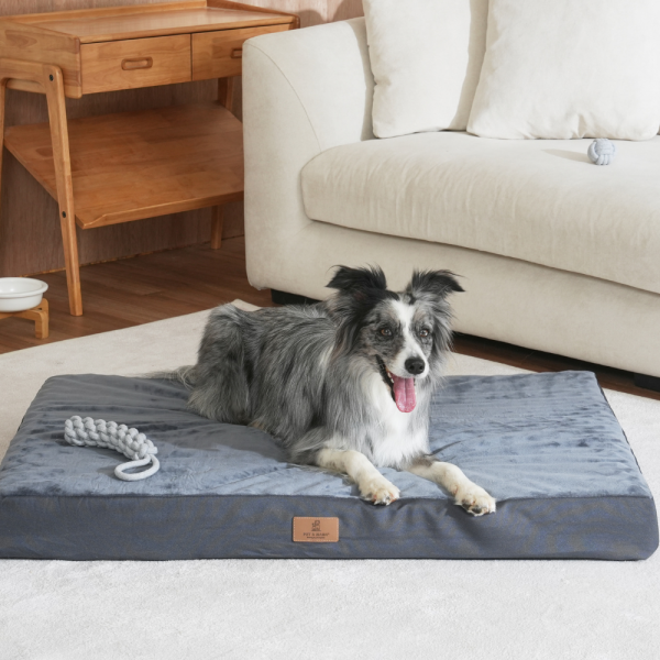 페오펫몰,[펫앤마마] 대형견 강아지 방석 쿠션 01 2종 (그레이/진그레이) L~2XL