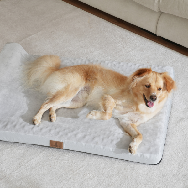 페오펫몰,[펫앤마마][새해특가] 대형견 강아지 방석 베개 쿠션 02 2종 (그레이/진그레이) L~2XL