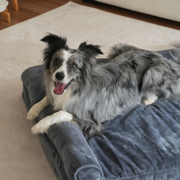 페오펫몰,[펫앤마마] 대형견 강아지 방석 L자형 쿠션 03 2종 (그레이/진그레이) L~2XL