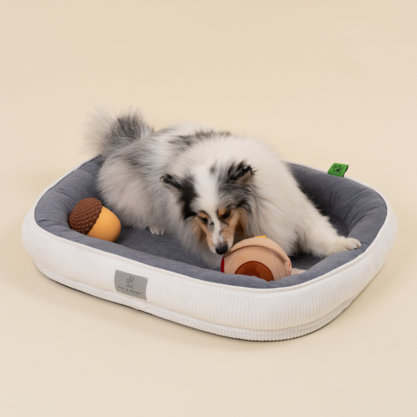 페오펫몰,[펫앤마마] 강아지 방석 쿠션 3종 (화이트/오렌지/블루) M~2XL