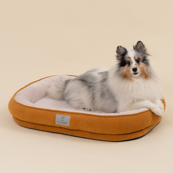 페오펫몰,[펫앤마마] 강아지 방석 쿠션 3종 (화이트/오렌지/블루) M~2XL
