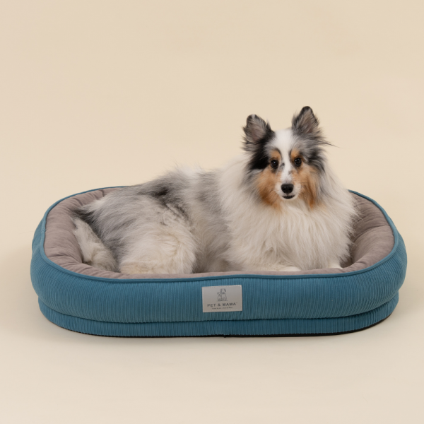 페오펫몰,[펫앤마마] 강아지 방석 쿠션 3종 (화이트/오렌지/블루) M~2XL