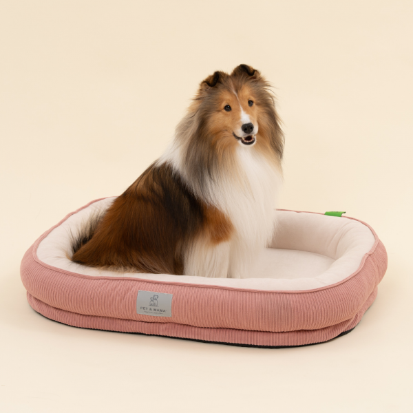 페오펫몰,[펫앤마마] 강아지 방석 쿠션 3종 (더스티블루/로즈브라운/딥옐로우) M~2XL