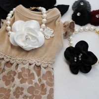 [멤버십 비밀가격][코코아허니] 청담며느리벨벳원피스 [최저가]