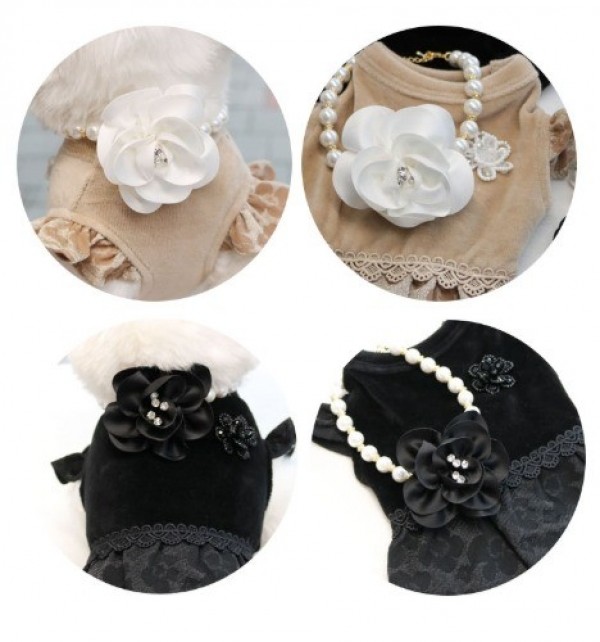 페오펫몰,[멤버십 비밀가격][코코아허니] 청담며느리벨벳원피스 [최저가]