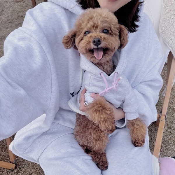 페오펫몰,(찰리롤리) 귀염뽀짝 하트 후드 티 강아지 티셔츠 옷 겨울 기모 애견