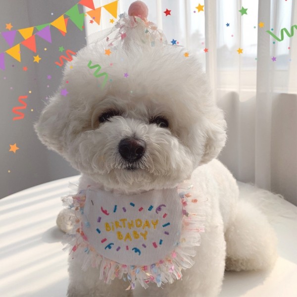 페오펫몰,레드퍼피 생일파티 꼬깔모자세트