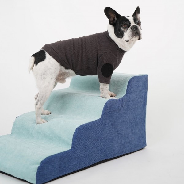 페오펫몰,레드퍼피 데코 펫스텝